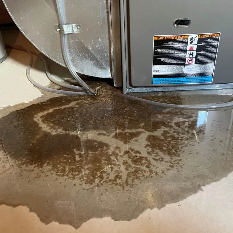 Pipe Burst and Leak Restoration in Deltaville, VA