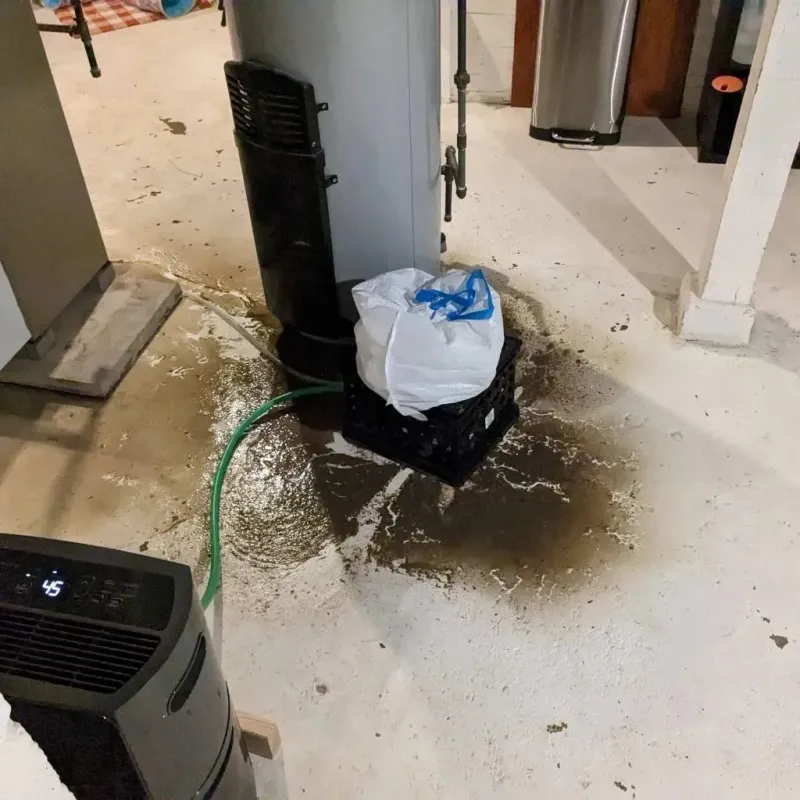 Sewage Backup Cleanup Service in Deltaville, VA